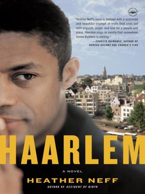 Haarlem - ebook